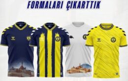 agrispor forma satislari